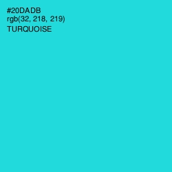 #20DADB - Turquoise Color Image