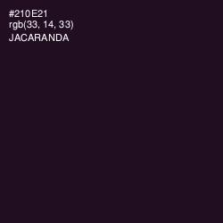 #210E21 - Jacaranda Color Image