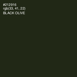 #212916 - Black Olive Color Image