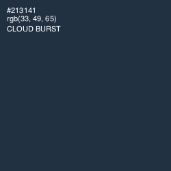 #213141 - Cloud Burst Color Image
