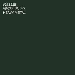 #213225 - Heavy Metal Color Image