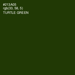#213A05 - Turtle Green Color Image