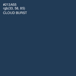 #213A55 - Cloud Burst Color Image