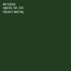#213E20 - Heavy Metal Color Image