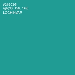 #219C95 - Lochinvar Color Image