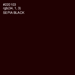 #220103 - Sepia Black Color Image