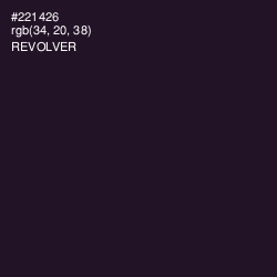 #221426 - Revolver Color Image
