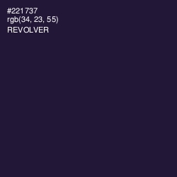 #221737 - Revolver Color Image