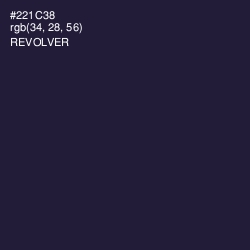 #221C38 - Revolver Color Image