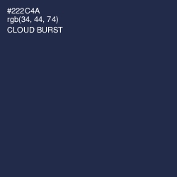 #222C4A - Cloud Burst Color Image