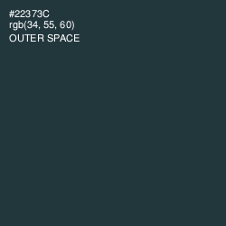 #22373C - Outer Space Color Image