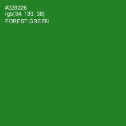#228226 - Forest Green Color Image