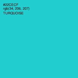 #22CECF - Turquoise Color Image