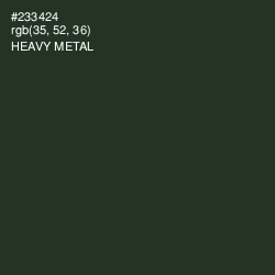 #233424 - Heavy Metal Color Image