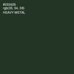 #233626 - Heavy Metal Color Image