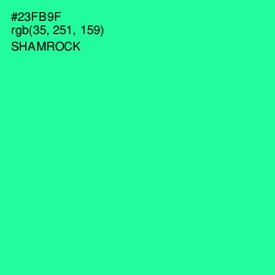 #23FB9F - Shamrock Color Image