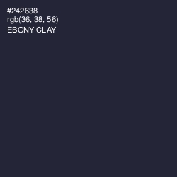 #242638 - Ebony Clay Color Image