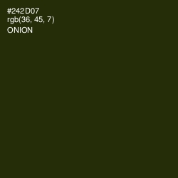 #242D07 - Onion Color Image