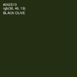 #242E13 - Black Olive Color Image