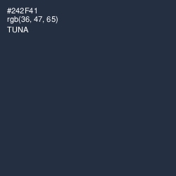 #242F41 - Tuna Color Image