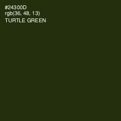 #24300D - Turtle Green Color Image