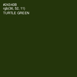 #24340B - Turtle Green Color Image