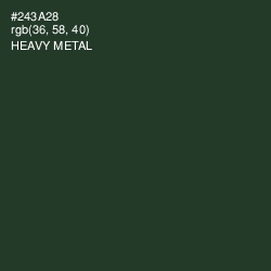 #243A28 - Heavy Metal Color Image