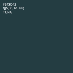#243D42 - Tuna Color Image