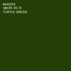 #243F05 - Turtle Green Color Image