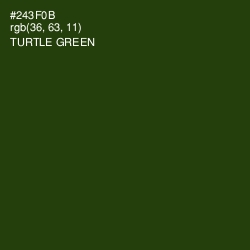 #243F0B - Turtle Green Color Image
