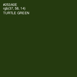 #253A0E - Turtle Green Color Image
