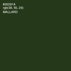 #26381A - Mallard Color Image