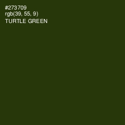 #273709 - Turtle Green Color Image