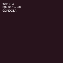 #28131C - Gondola Color Image
