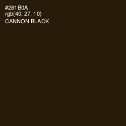 #281B0A - Cannon Black Color Image