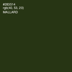 #283514 - Mallard Color Image