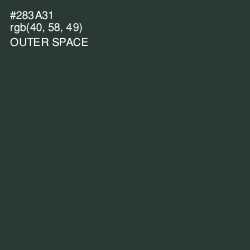 #283A31 - Outer Space Color Image