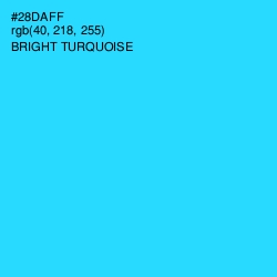 #28DAFF - Bright Turquoise Color Image
