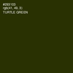 #293103 - Turtle Green Color Image