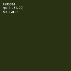 #293314 - Mallard Color Image