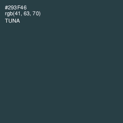 #293F46 - Tuna Color Image