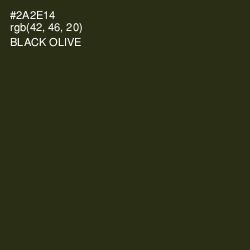 #2A2E14 - Black Olive Color Image