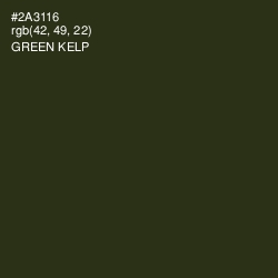 #2A3116 - Green Kelp Color Image