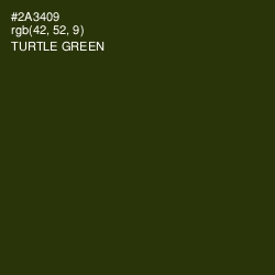#2A3409 - Turtle Green Color Image