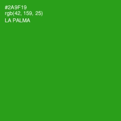 #2A9F19 - La Palma Color Image
