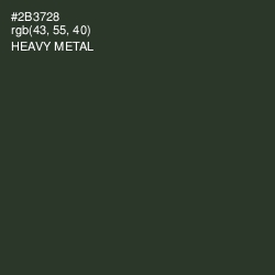 #2B3728 - Heavy Metal Color Image