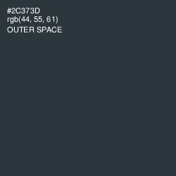 #2C373D - Outer Space Color Image