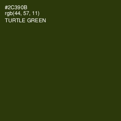 #2C390B - Turtle Green Color Image