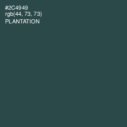 #2C4949 - Plantation Color Image