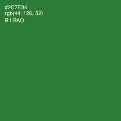 #2C7E34 - Bilbao Color Image